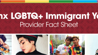 Latinx LGBTQ Immigrant Youth Provider Fact Sheet image